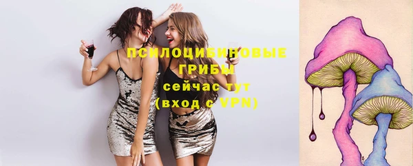 a pvp Аркадак