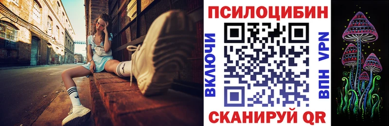 Галлюциногенные грибы Psilocybe  Купить закладки  Амурск 